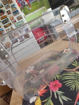 Koupelna pro papoušky - 4