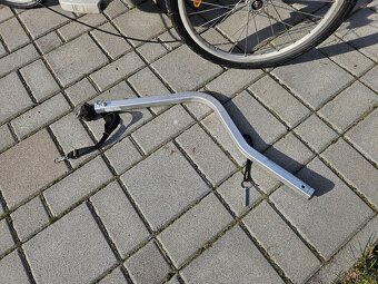 Thule Chariot - 4
