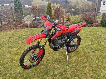 Yamaha WR 250 2021 - 4