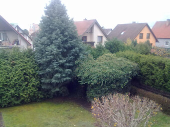 Rodinný dům Nýřany - 4