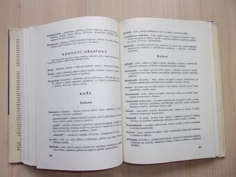 2x STARÁ KUCHAŘKA - KUCHAŘSKÝ LEXIKON, STAROČESKÁ KUCHYNĚ - 4