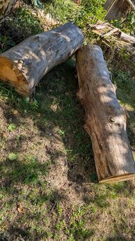 Palivové dřevo - smrk, borovice modřín - 4