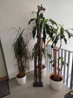 Dřevěné žirafy  3 ks - 4