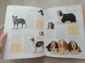 Pes a péče o něj - 4