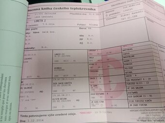 Perspektivni klisna - 4