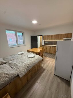 Byt k pronájmu - Roudná - 4