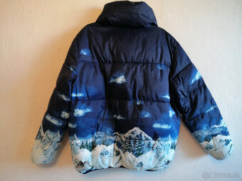 Dámská zimní bunda s motivem zasněžené krajiny - 4