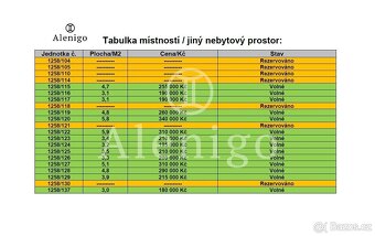 Prodej komerční nemovitosti, ul. Kubelíkova, Praha 3 - Žižko - 4