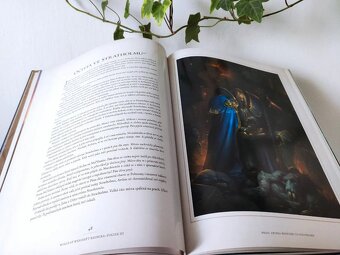 Kniha - encyklopedii World of WarCraft kronika 3 Blizzard CZ - 4