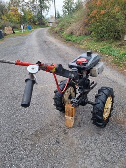 Tera vari dsk 317 - 4