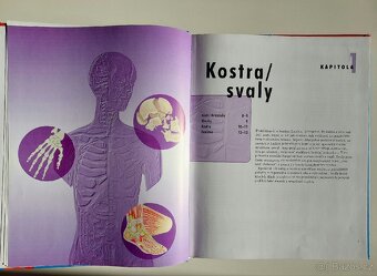VĚDOMOSTI V KOSTCE – Lidské tělo - 4