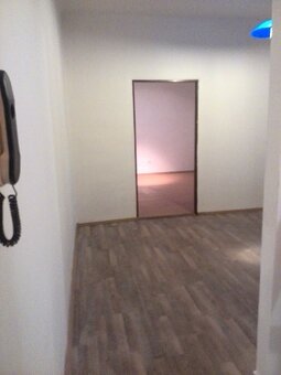 Pronajmu byt 1+1 50m2 v Ostravě se zahradou - 4