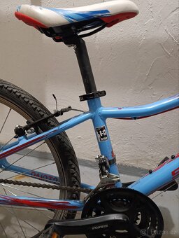 Dětské kolo Superior Paint 24 - 4