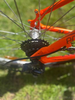 Horske kolo Kellys Alpina Eco M10 26" Neon Orange 2019 - 4
