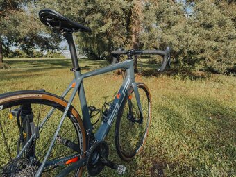 Superior X-Road Team Elite - 4