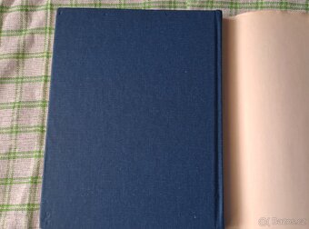 Kniha Záludná luna - P. Verlaine - 4