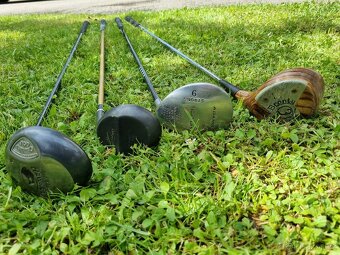 4 different Golf clubs - 4
