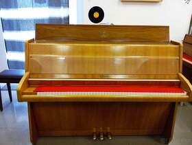 Schimmel mod.108-Dovoz do 100km zdarma 24/7 - 4