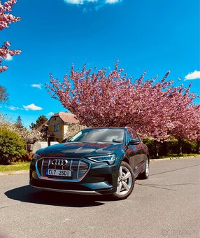 Audi E-Tron 55 - 4