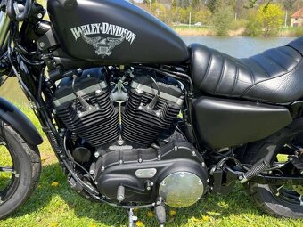 Harley-Davidson XL 883N Sportster Iron - 4