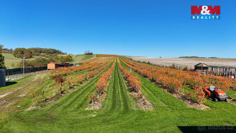 Prodej ovocného sadu, 70922 m², Fulnek - 4