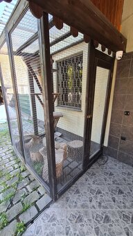 Voliéra pro kočky a jiné - 4
