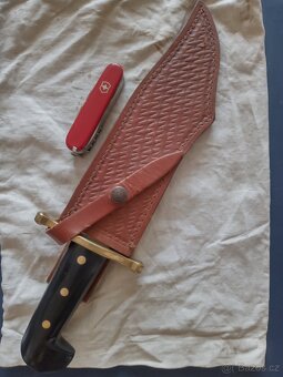 Bowie Case - 4