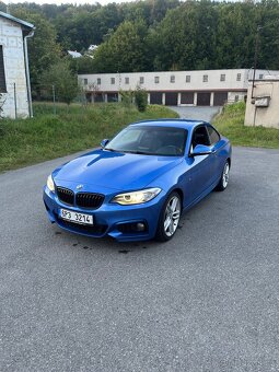 Bmw 220d 135kw coupe - 4