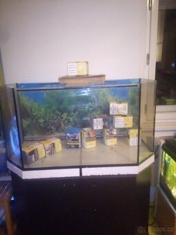 Prodám velké akvárko/terárko - 4