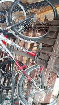 Pánské a dámské kolo - 4