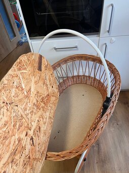 Mojžíšův koš velký - 4