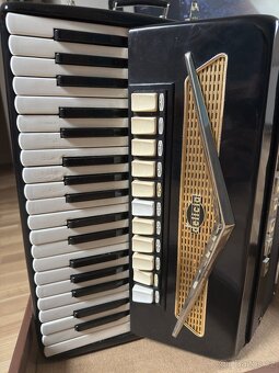 Akordeon Delicia Carmen V - 4