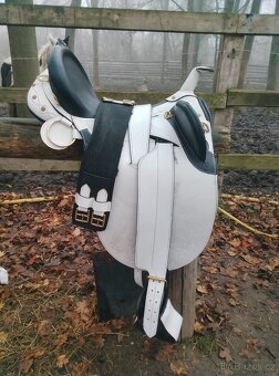 Australské sedlo bílé - 4