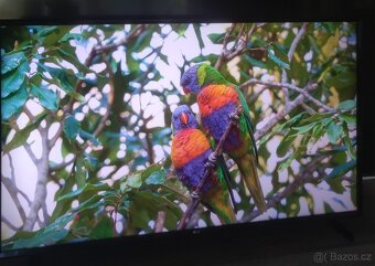 Smart LG 4K 126cm WiFi, YouTube, Netflix, oneplay, - 4