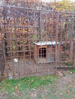 Kotec pro psa i s boudou - 4