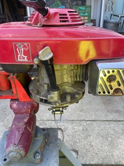 Honda GXV 160 , Vari - Terra - 4