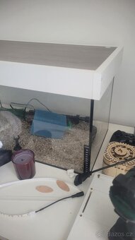 akvarium - 4