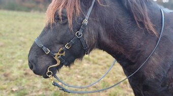 Multifunkční uzdečka s odepínacím udidlem - 4