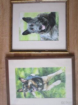 buldoček-olejomalba - 4