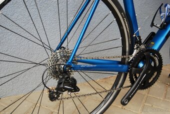Basso Venta Carbon 58CM - 4