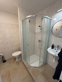 Pronájem bytu 1kk 21 m², Rakovník, ul. Pod Nemocnicí - 4