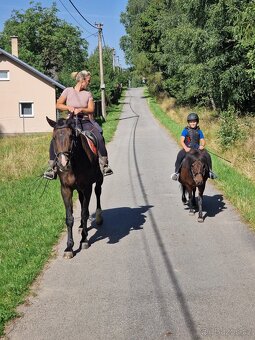 Pony klisna - 4