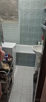 Pronájem bytu 2+1 50 m² - 4