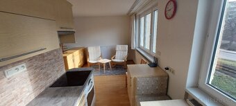 Pronájem bytu 1+1 v Luhačovicích - 4