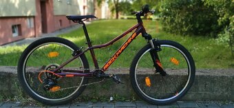 Dívčí horské kolo RockMachine - 4