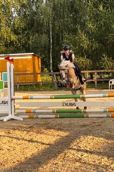 Pony klisna do sportu 10 let/ 133 KVH kat. A - 4