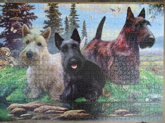 Puzzle - 4