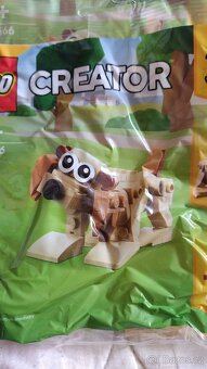 Albert Lego - 4