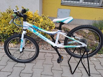 DĚTSKÉ KOLO SUPERIOR PAINT XC20 - 4