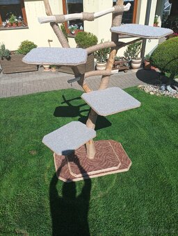 Kočičí škrábadlo - 4